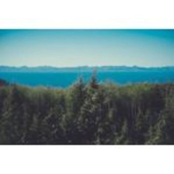 DO NOT BUY: Gorgeous Concrete Chair - Picture 5 of 8